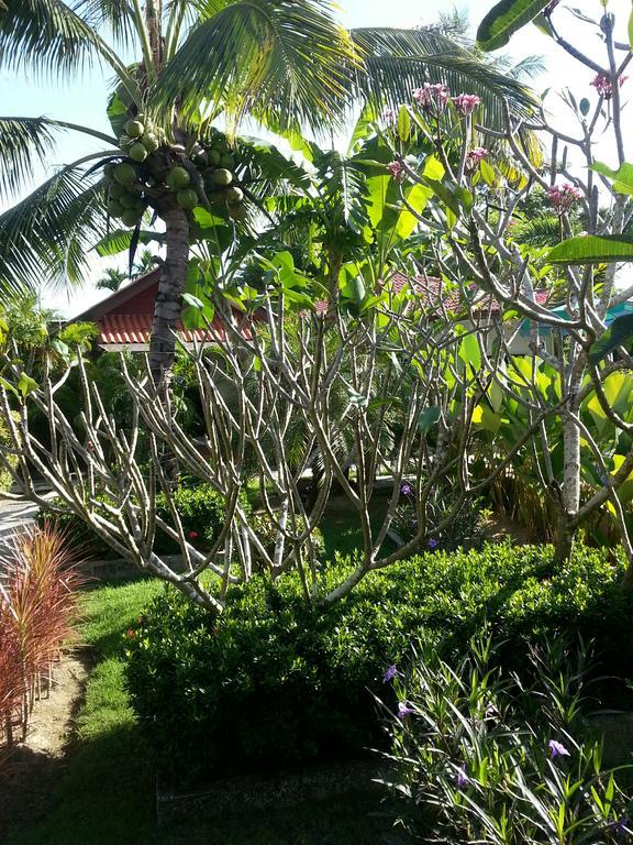 Bangtao Varee Beach Strand Bang Tao Exterior foto